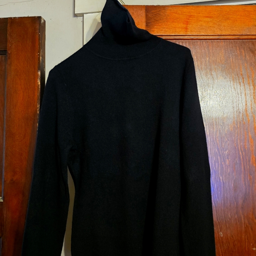 Garnet Hill cashmere turtleneck sweater size Large